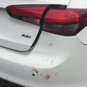 LANTERNA CERATO ORIGINAL